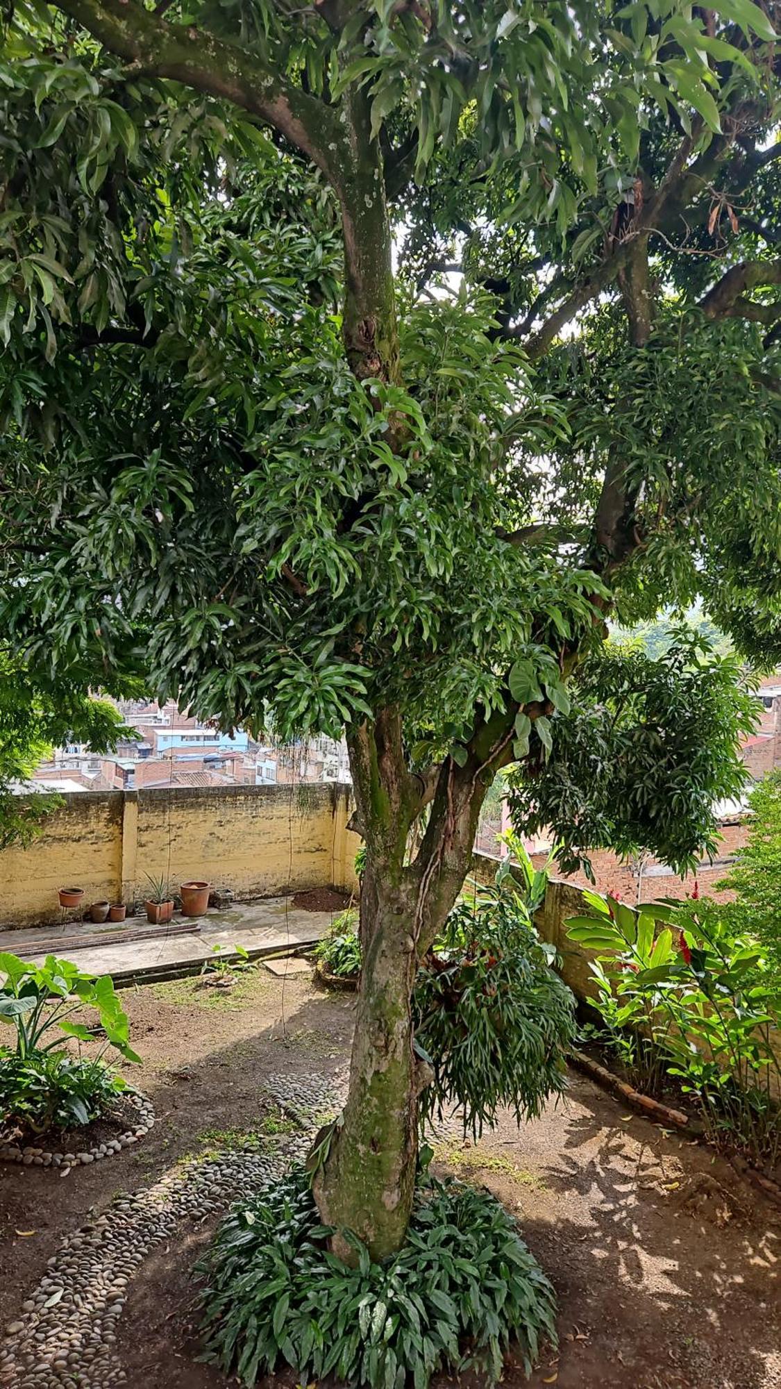 Casa Alba Hotel Cali Bagian luar foto